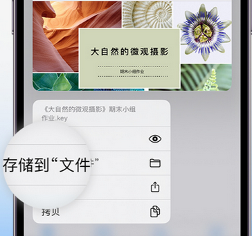 蚌埠apple维修中心分享iPhone文件应用中存储和找到下载文件