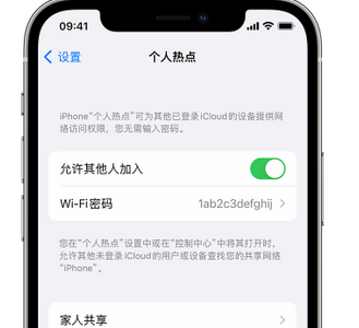 蚌埠apple服务站点分享iPhone上个人热点丢失了怎么办 