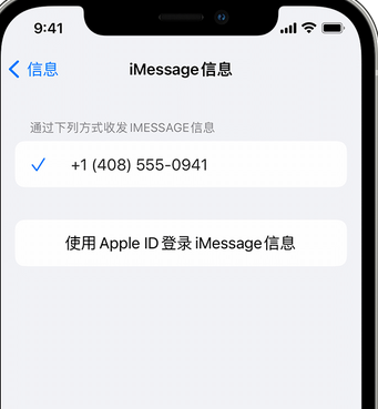 蚌埠apple维修iPhone上无法正常发送iMessage信息 