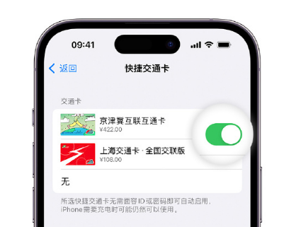 蚌埠apple维修点分享iPhone上更换Apple Pay快捷交通卡手绘卡面 