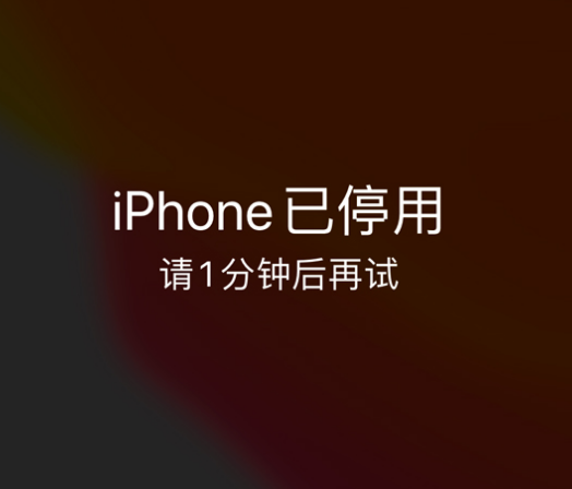 蚌埠苹果手机维修分享:iPhone 显示“不可用”或“已停用”怎么办？还能保留数据吗？ 