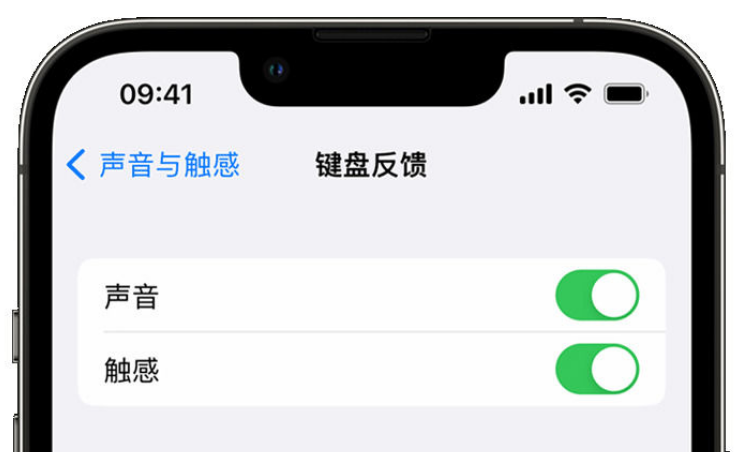 蚌埠苹果手机维修分享iPhone 14触感键盘使用方法 