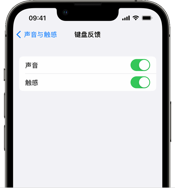 蚌埠苹果14维修店分享如何在 iPhone 14 机型中使用触感键盘 