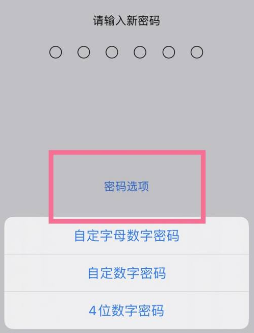 蚌埠苹果14维修分享iPhone 14plus设置密码的方法 