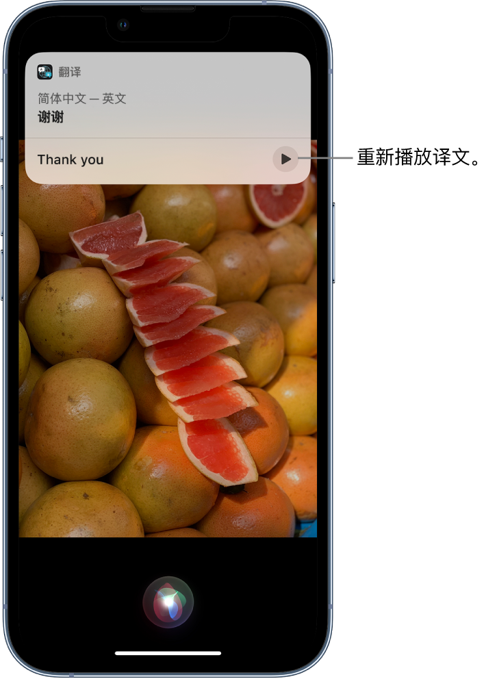 蚌埠苹果14维修分享 iPhone 14 机型中使用 Siri：了解 Siri 能帮你做什么 