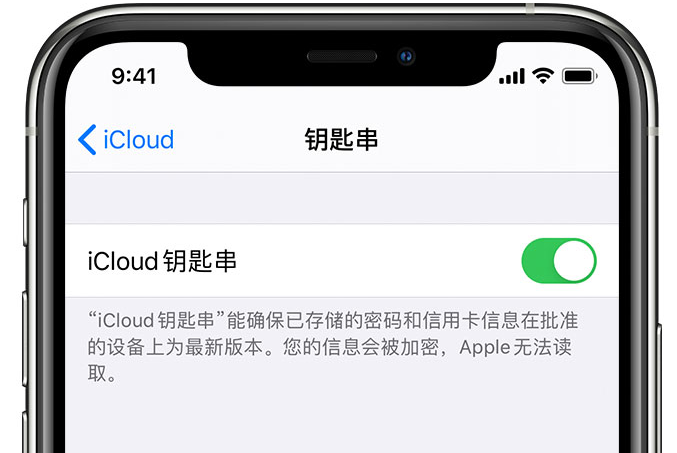 蚌埠苹果手机维修分享在 iPhone 上开启 iCloud 钥匙串之后会储存哪些信息 