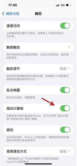 蚌埠苹果手机维修分享iPhone手机如何设置摇一摇删除文字 